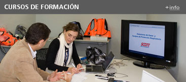 descripcion de la imagen